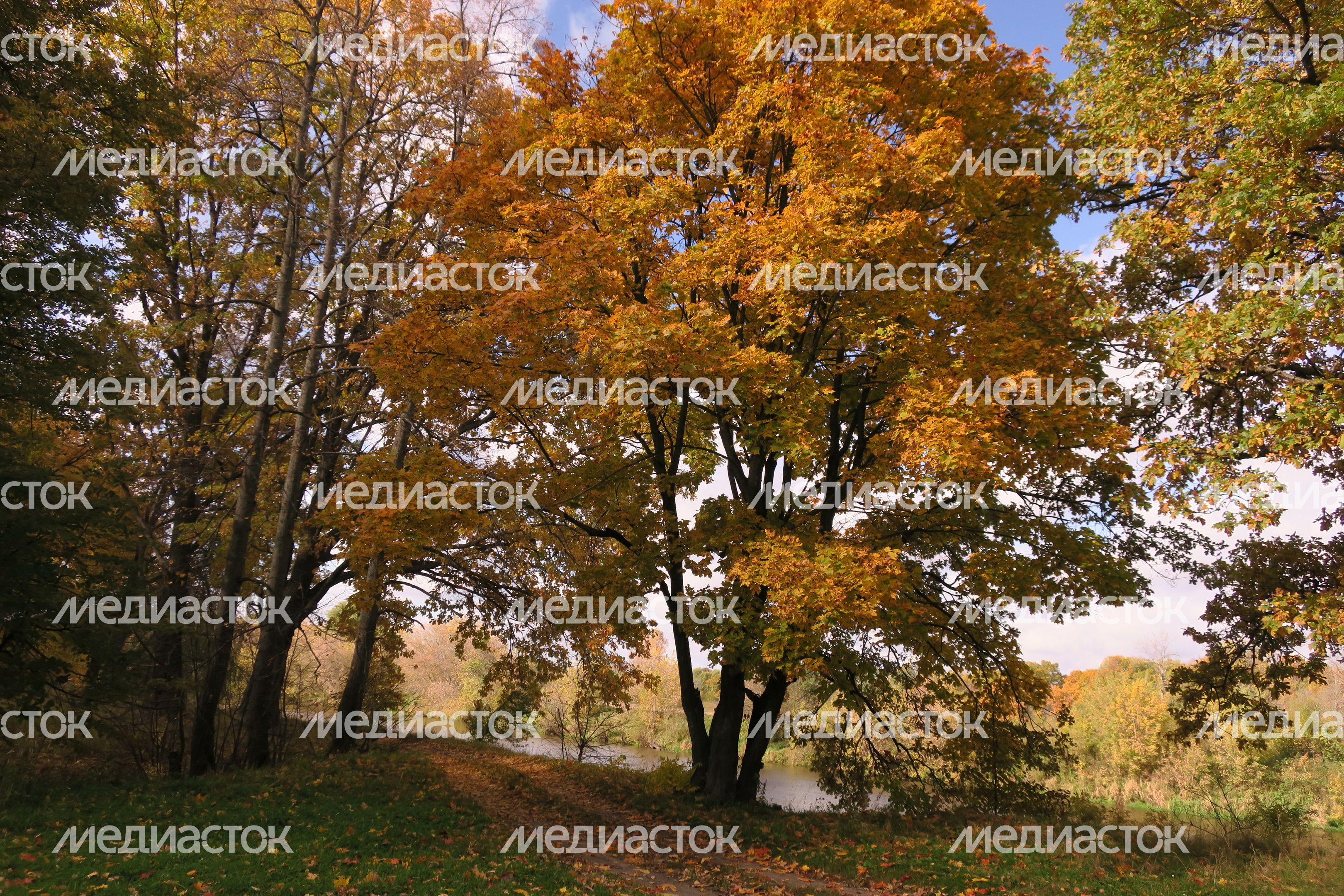 Осень в Подмосковье