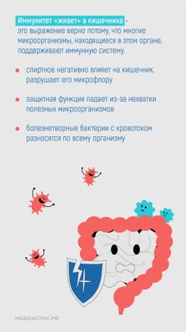 Алкоголь против иммунитета вертикаль 05