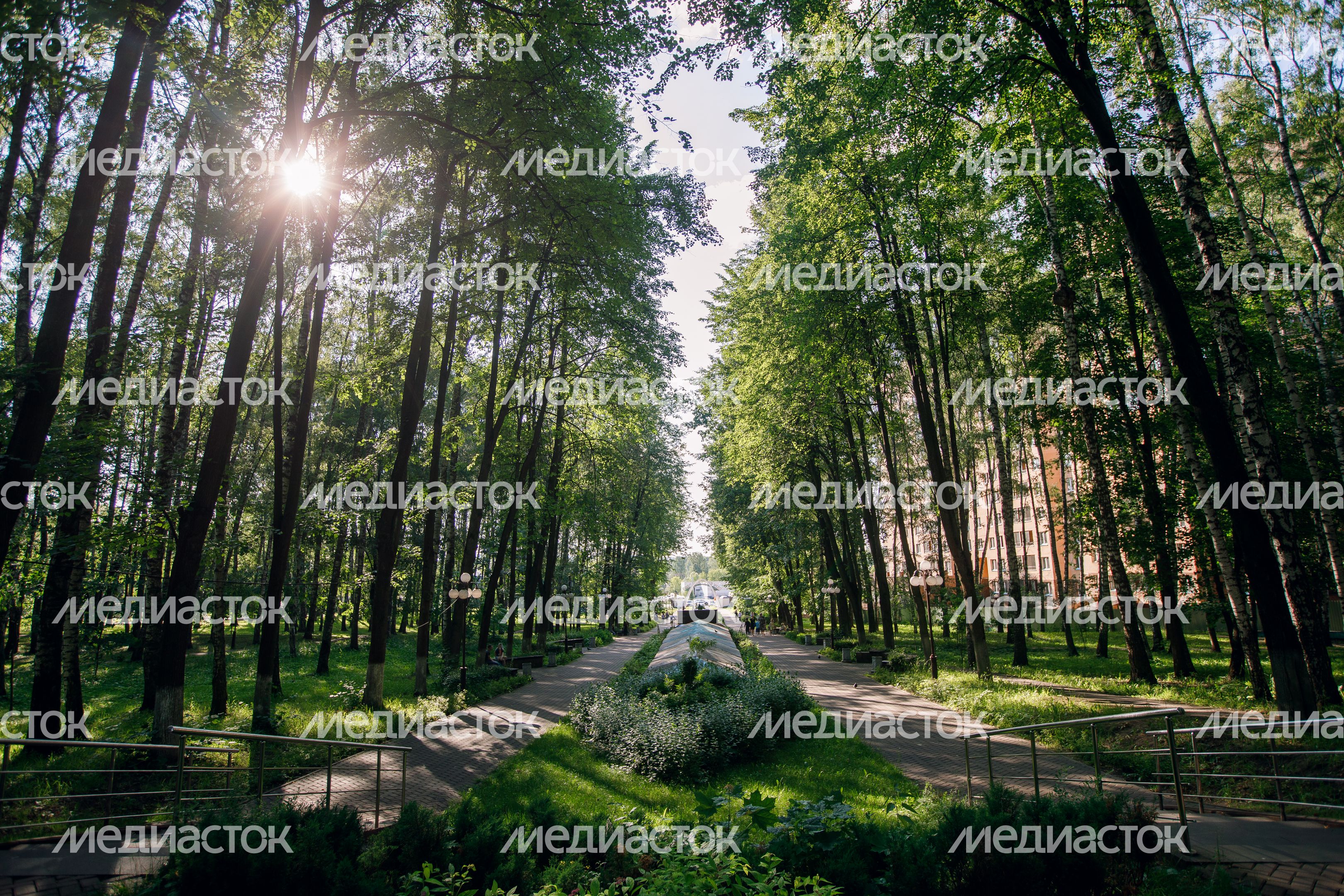 Дмитров. Парк Березовая роща Дмитров. Парк Березовая роща
