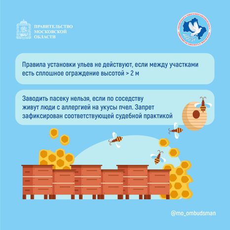 Квадрат Вопрос-ответ. Пчеловодство-04.jpg