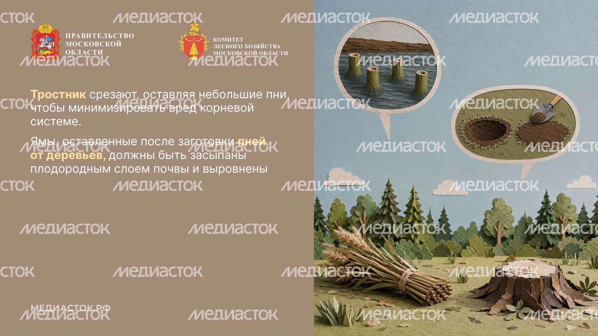Недревесные ресурсы для собственных нужд Горизонталь 10