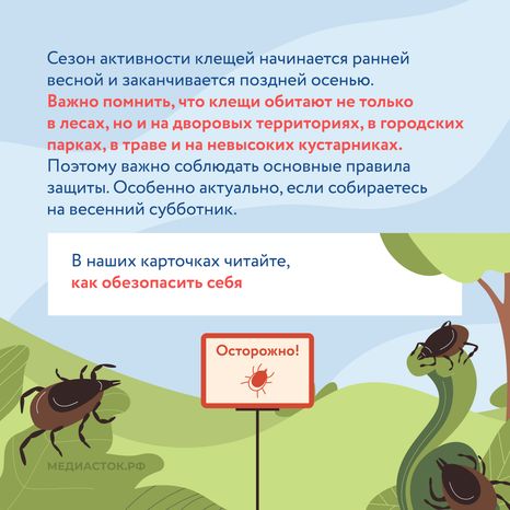 Как защититься от клещей квадрат 02