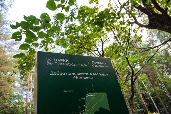 Лесопарк "Чемпион" в Дзержинском