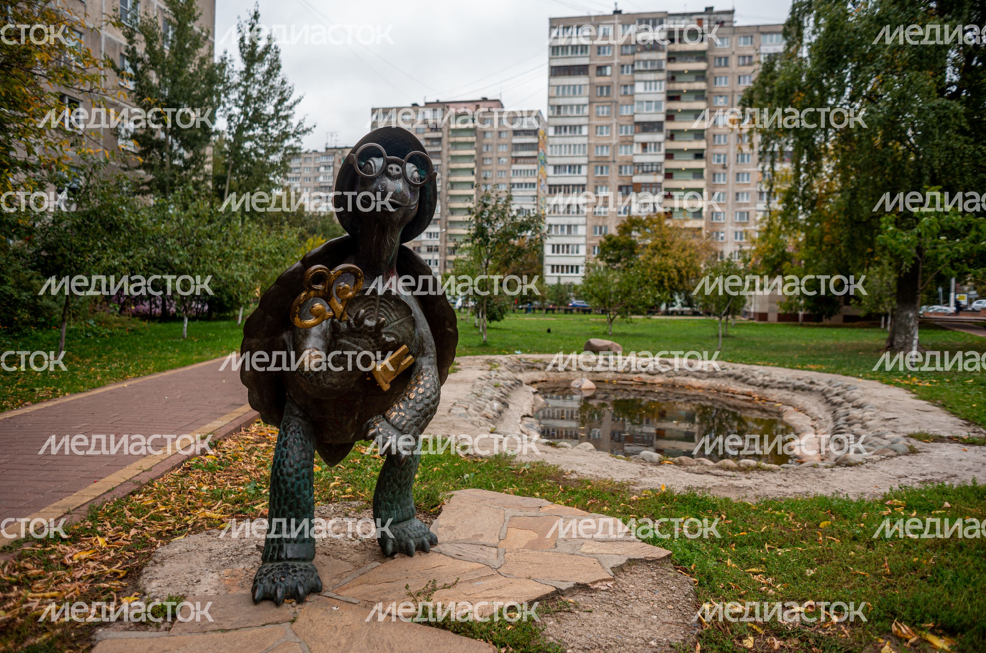 Школьный бульвар в Раменском