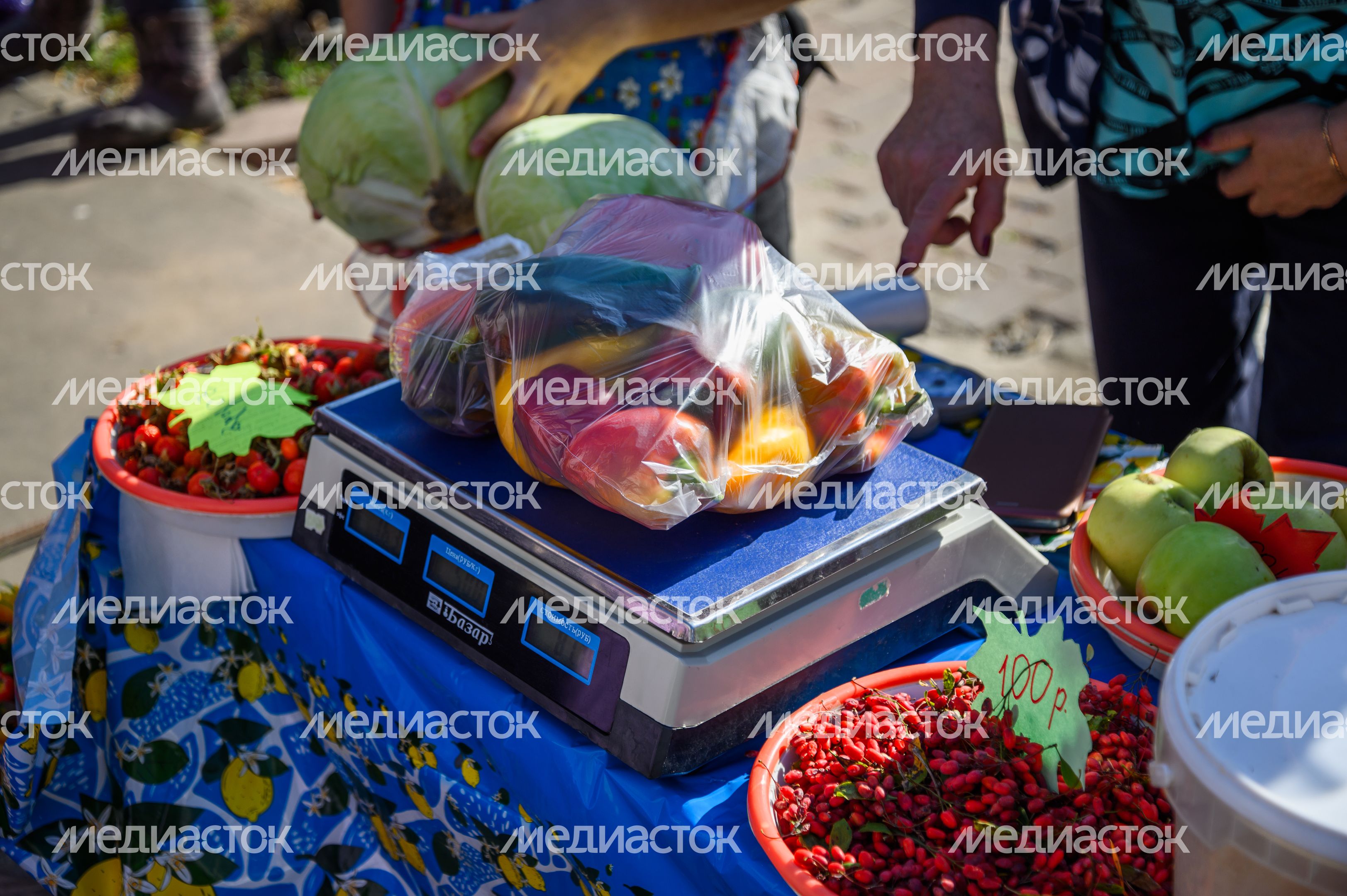Выставка-ярмарка «Дары Подмосковья» в Луховицах Выставка-ярмарка «Дары Подмосковья» в Луховицах