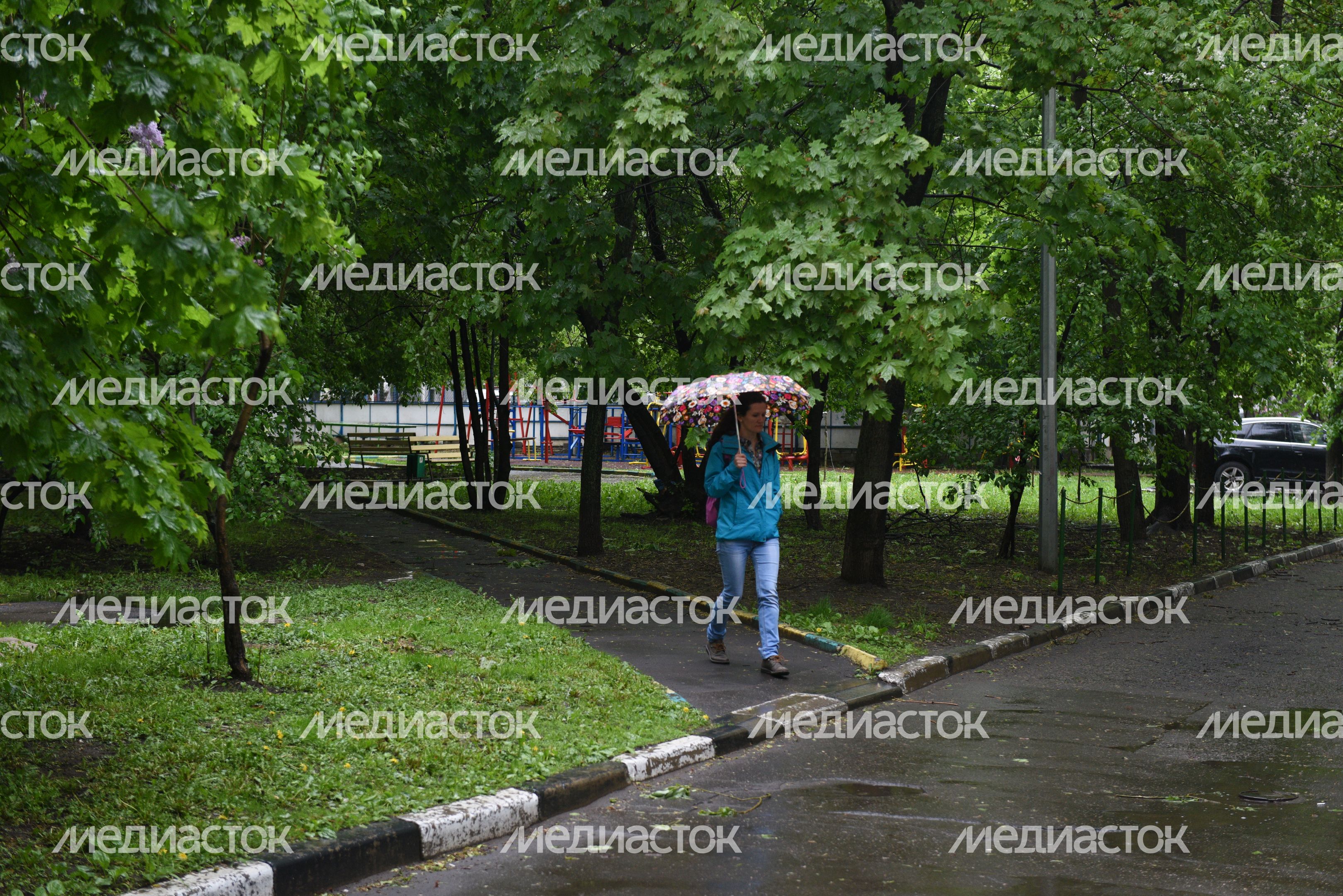 Последствия урагана в московском регионе