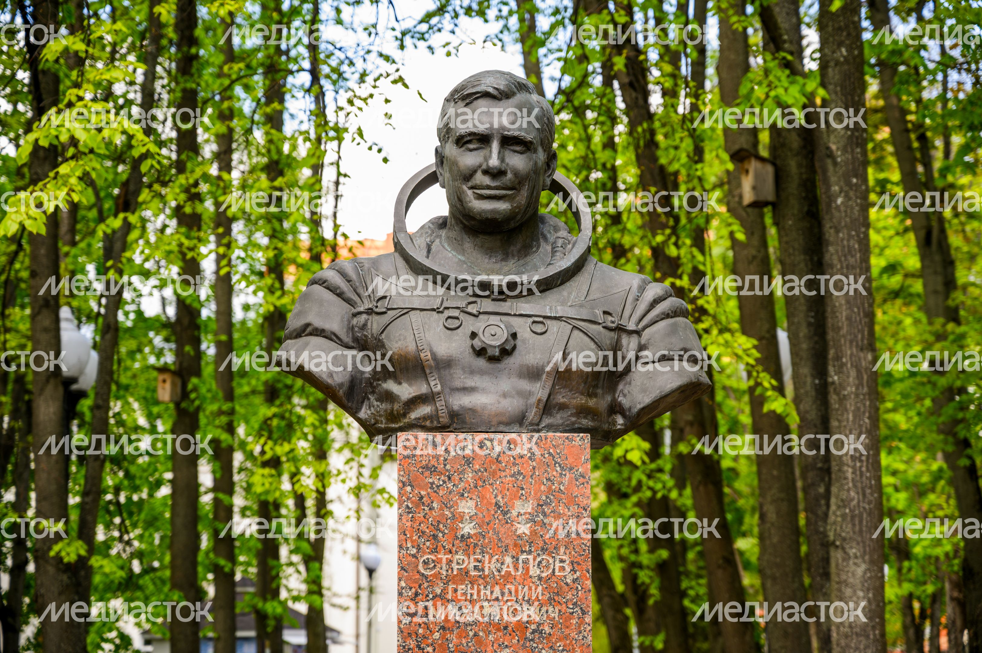Бронзовый бюст дважды Героя Советского Союза, летчика-космонавта Г.М. Стрекалова в Мытищах Бронзовый бюст дважды Героя Советского Союза, летчика-космонавта Г.М. Стрекалова в Мытищах