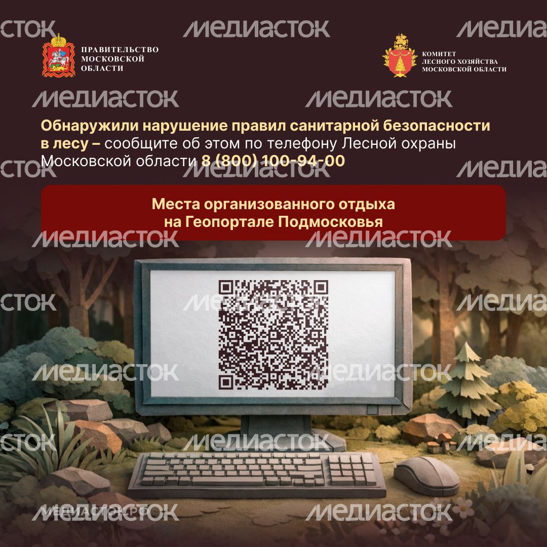 Санитарная безопасность в лесах квадрат 07 Санитарная безопасность в лесах квадрат 07