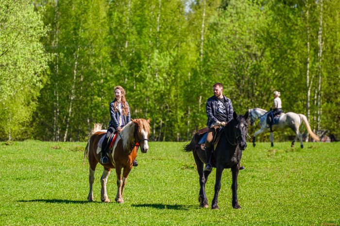 Конноспортивный клуб «Баллада» в округе Солнечногорск
