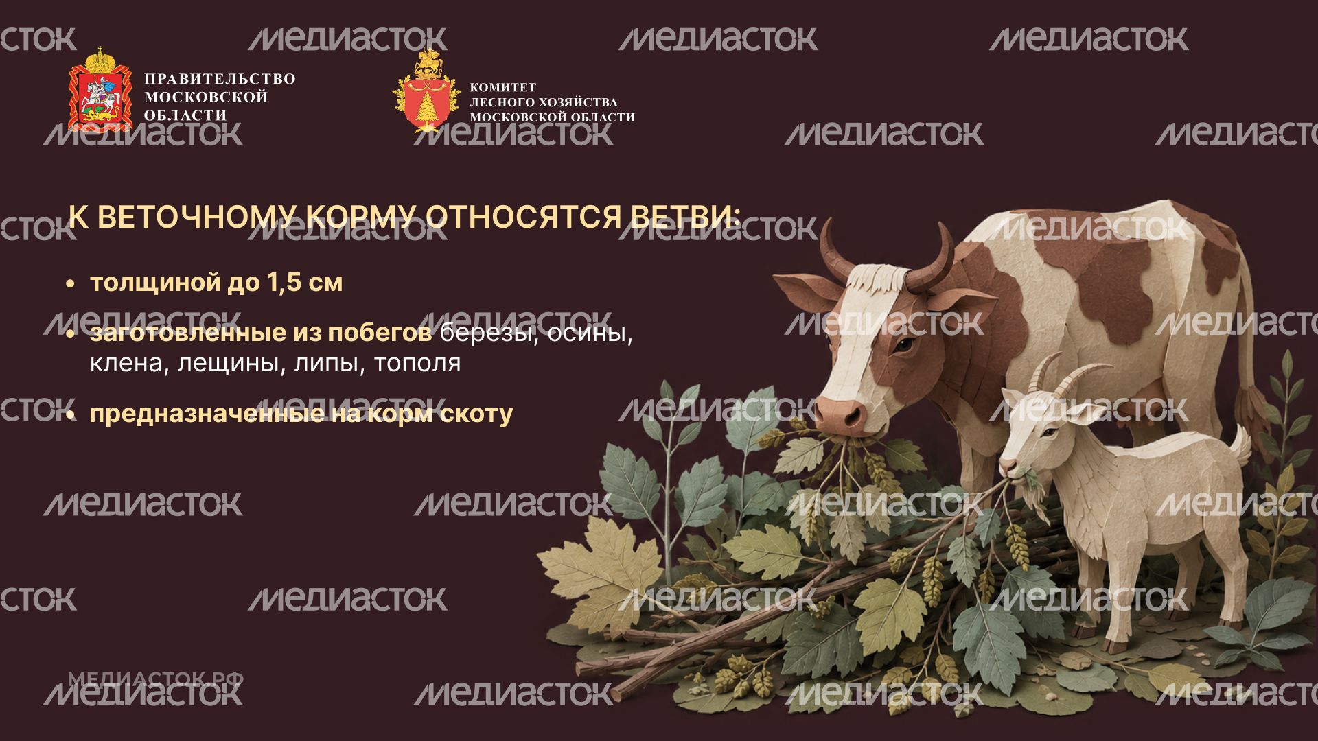 Недревесные ресурсы для собственных нужд Горизонталь 08