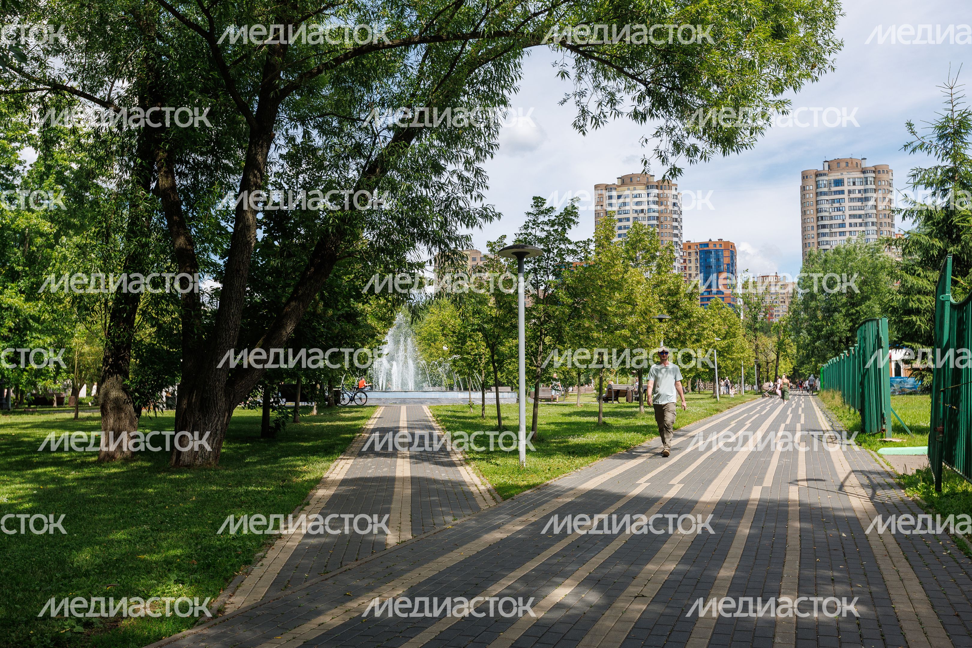 Центральный парк Реутова летом Центральный парк Реутова летом