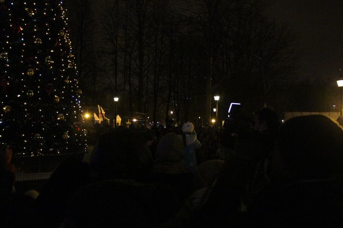 Новогодние декорации в Долгопрудном