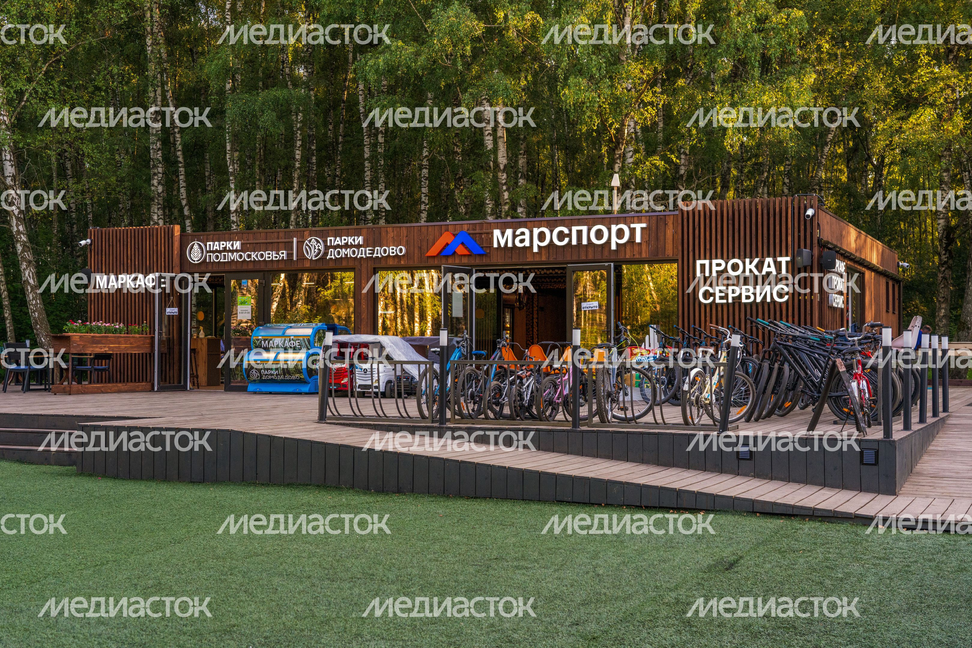 Прокат в лесопарке «Городской лес» в Домодедово