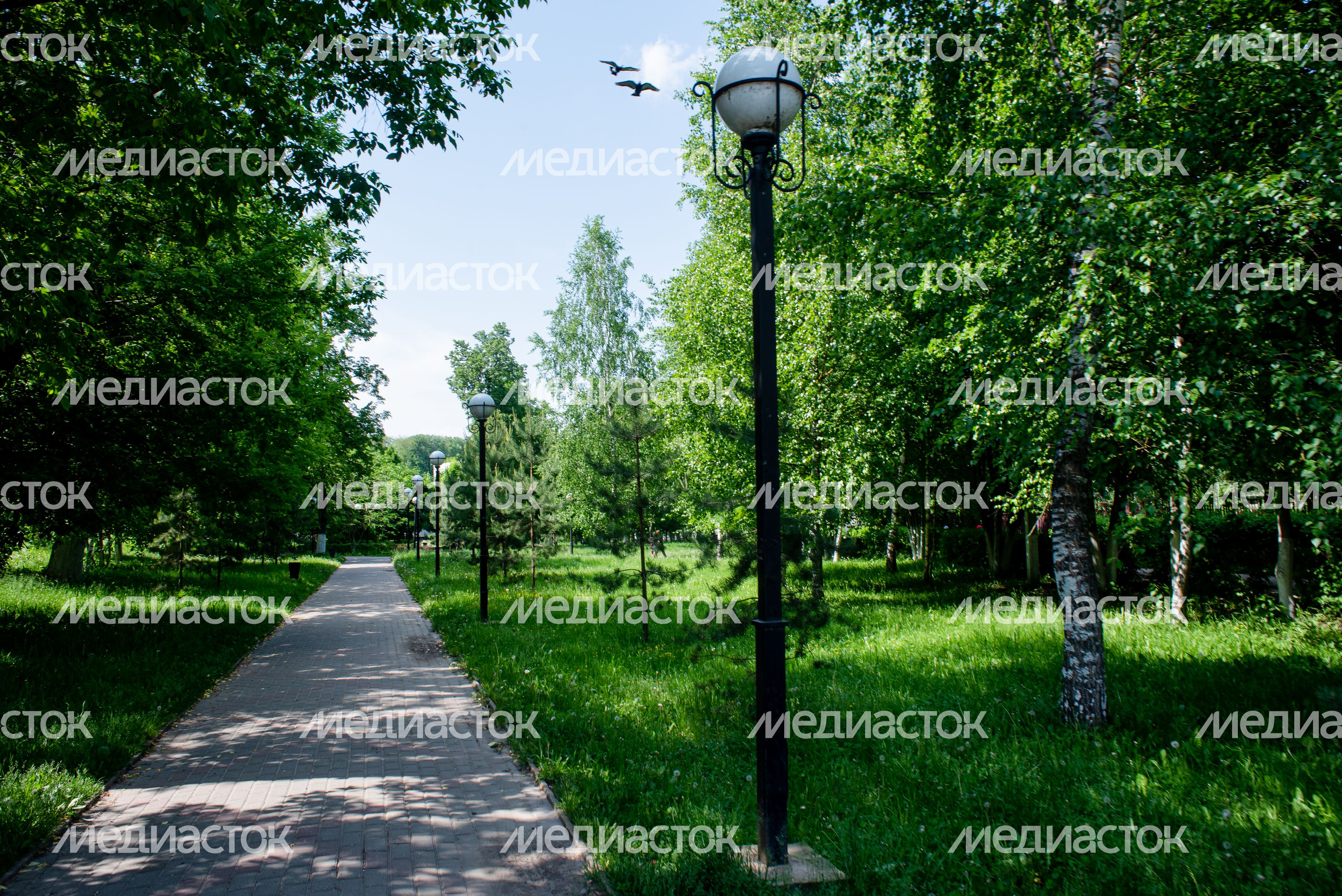 Летние виды города Яхрома