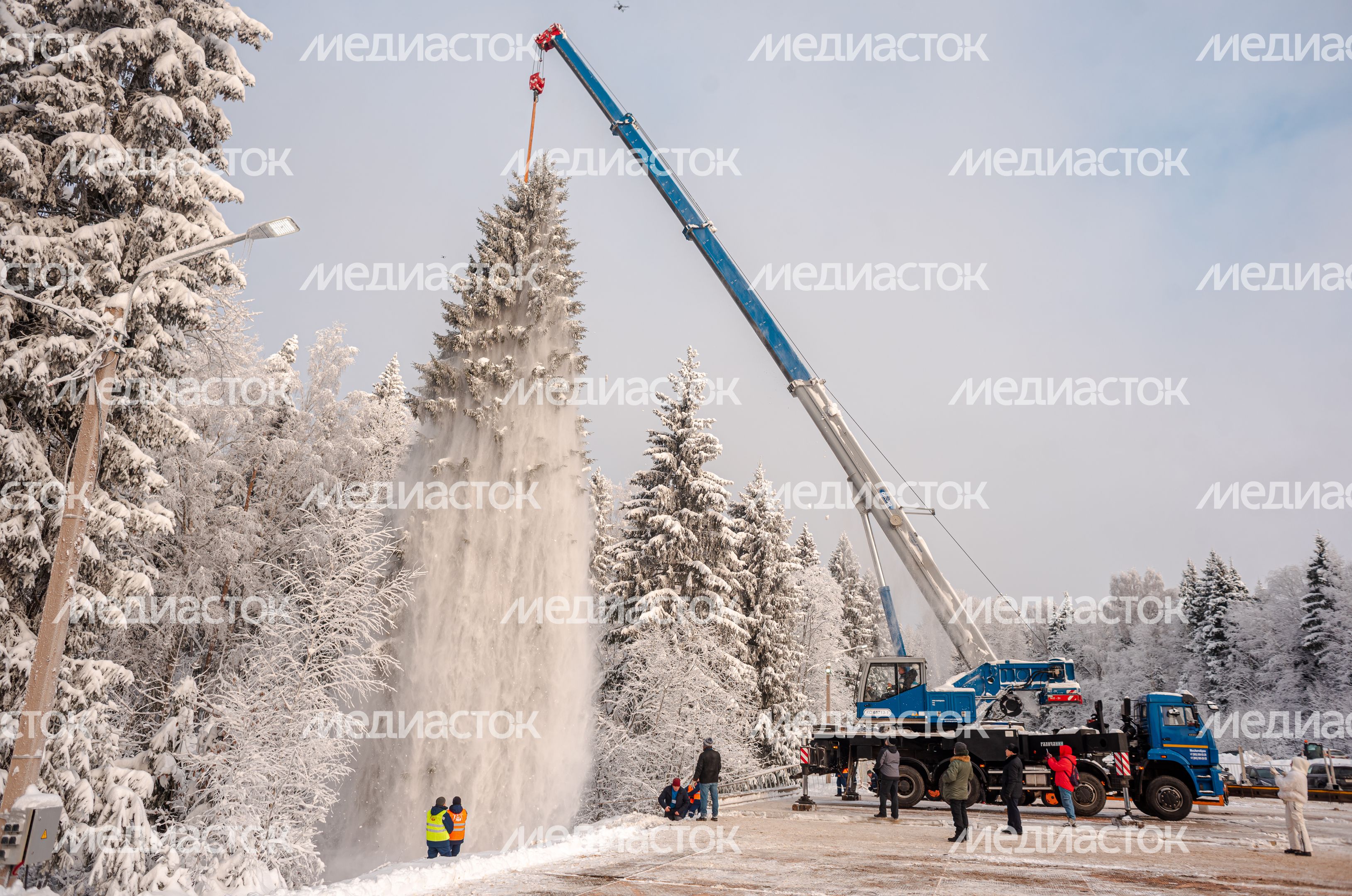 Рубка главной новогодней елки страны