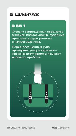 Что нельзя брать с собой в суд Вертикаль 07