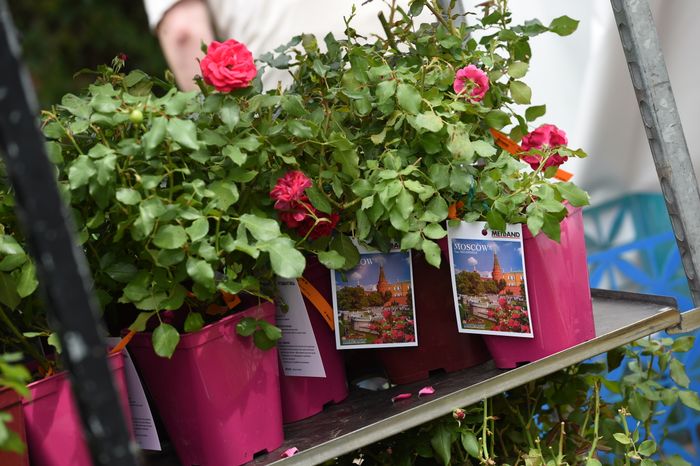 Открытие фестиваля садов и цветов Moscow Flower Show в парке «Музеон» в Москве