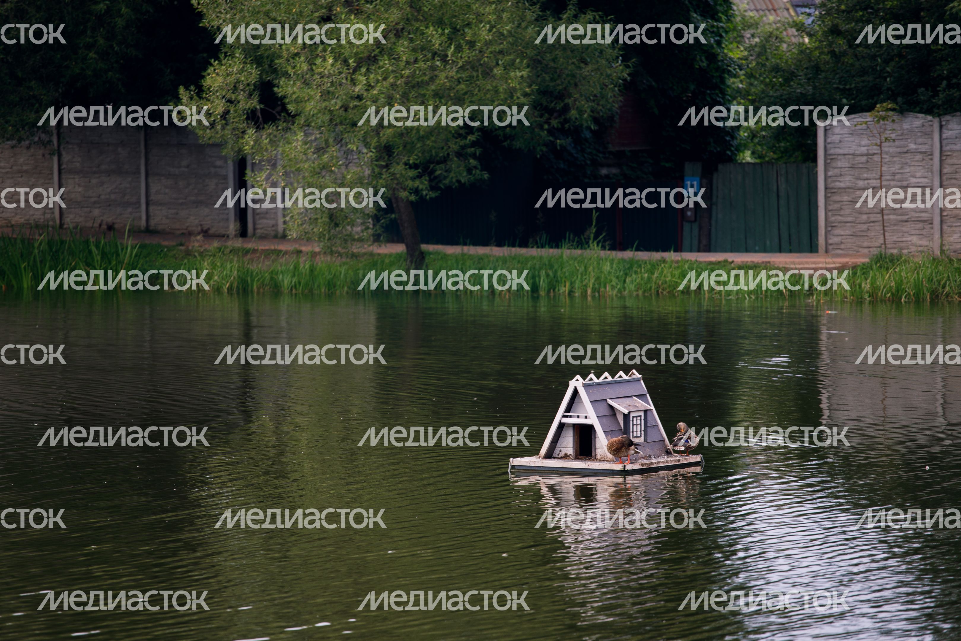 Красногорск. Парк «Опалиховский пруд»