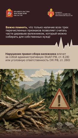 Валежник для собственных нужд вертикаль 04