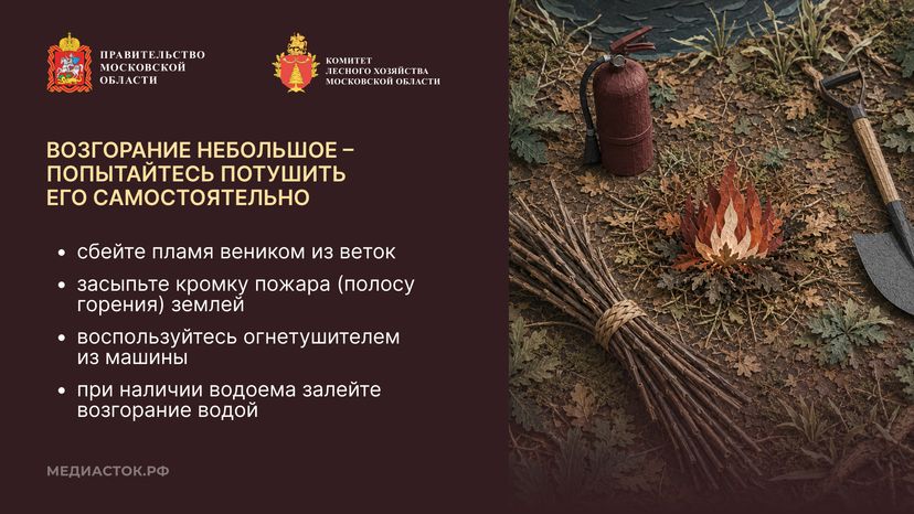 Живете рядом с лесом горизонталь 09