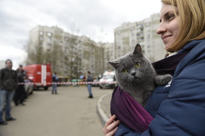 Подозрительный предмет обнаружен в подвале жилого дома в Москве