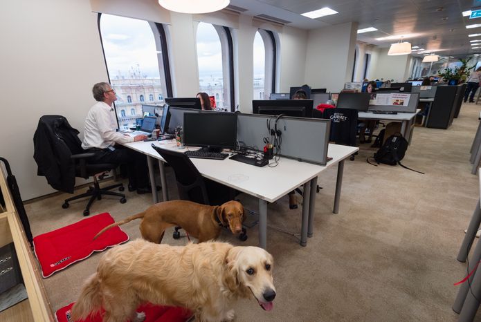 Pet‑friendly офис Purina