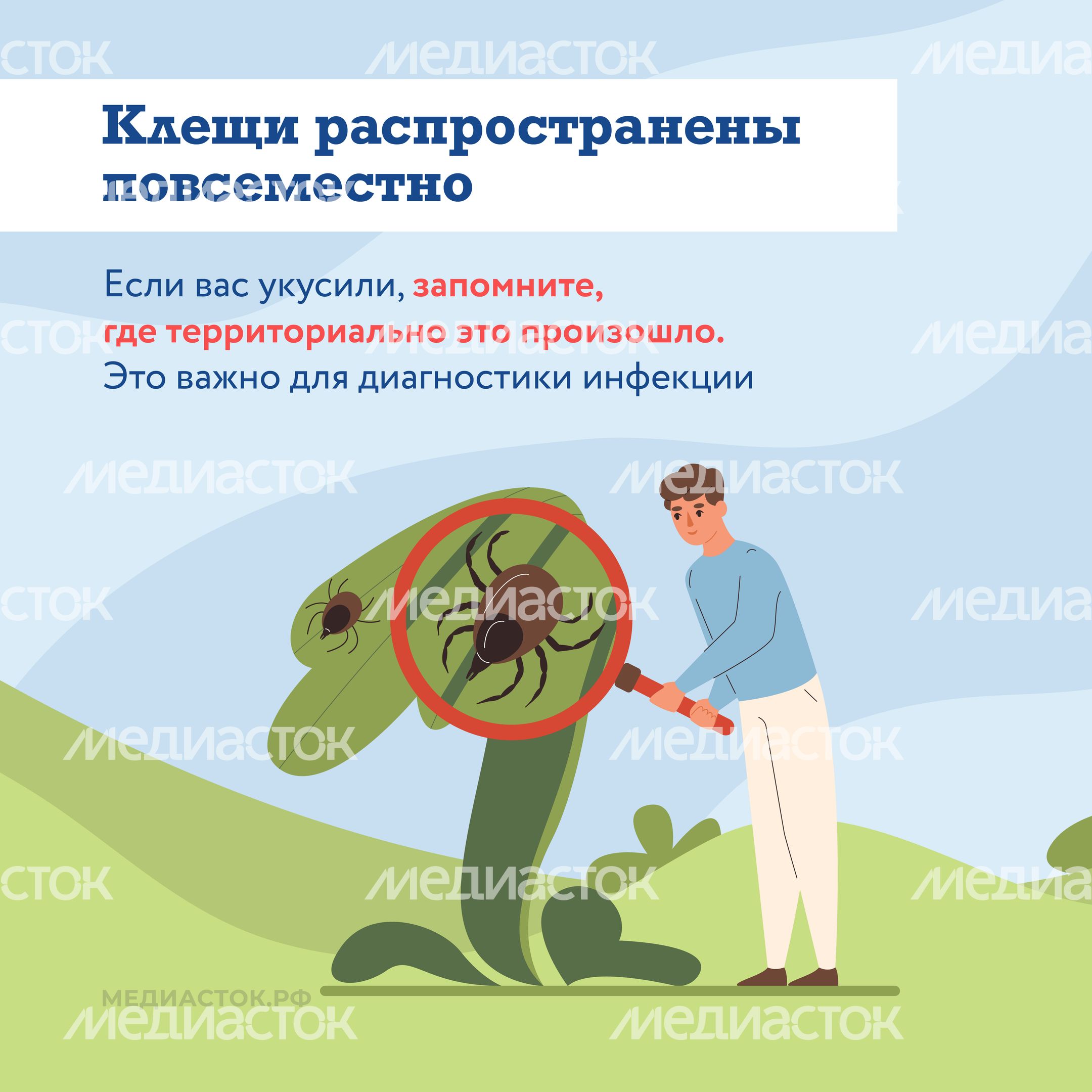 Как защититься от клещей квадрат 04 Как защититься от клещей квадрат 04