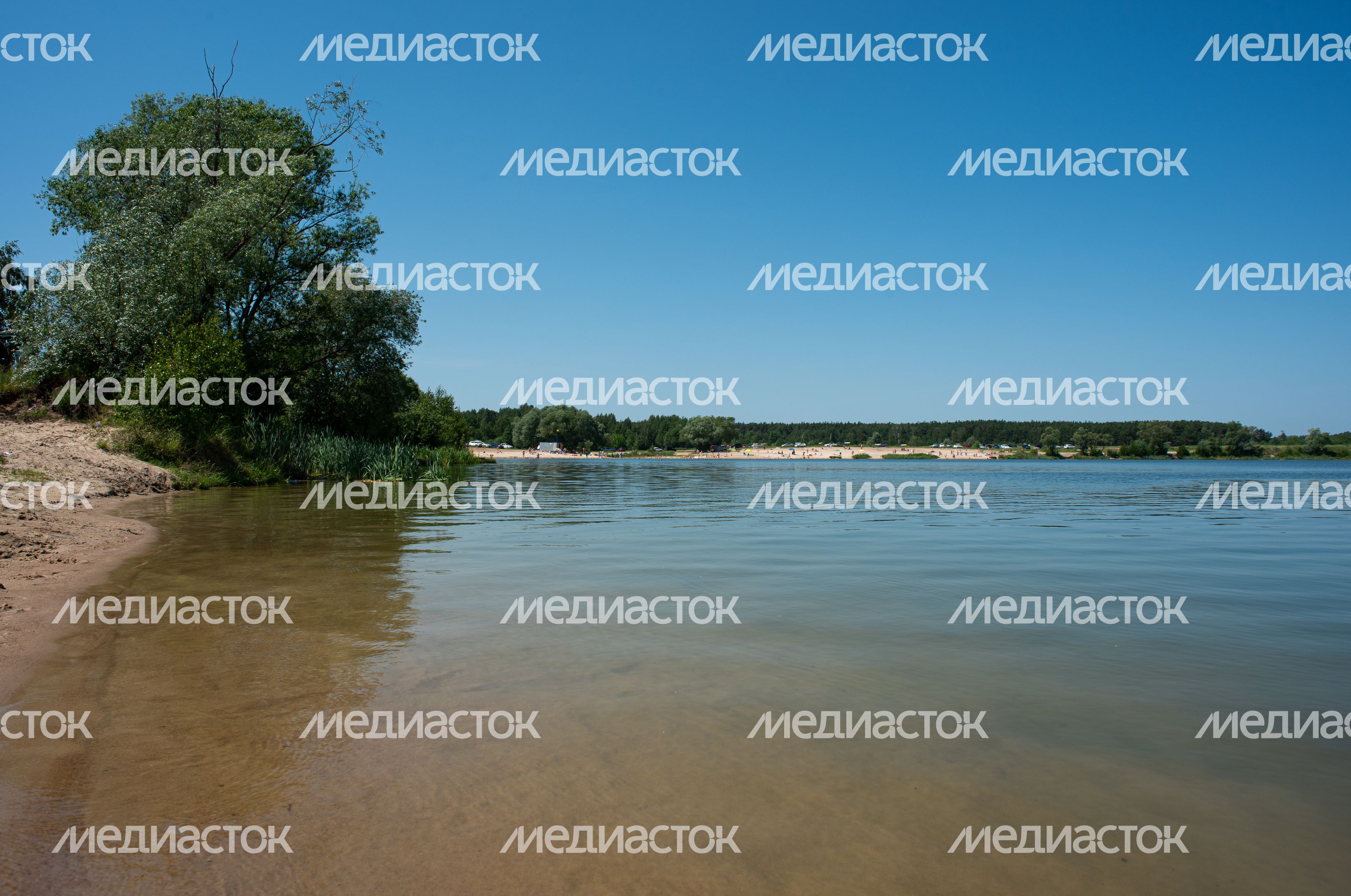 Летние виды Белопесоцкого карьера