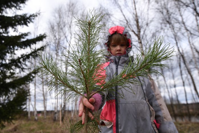 Поселение родовых поместий «Миродолье»