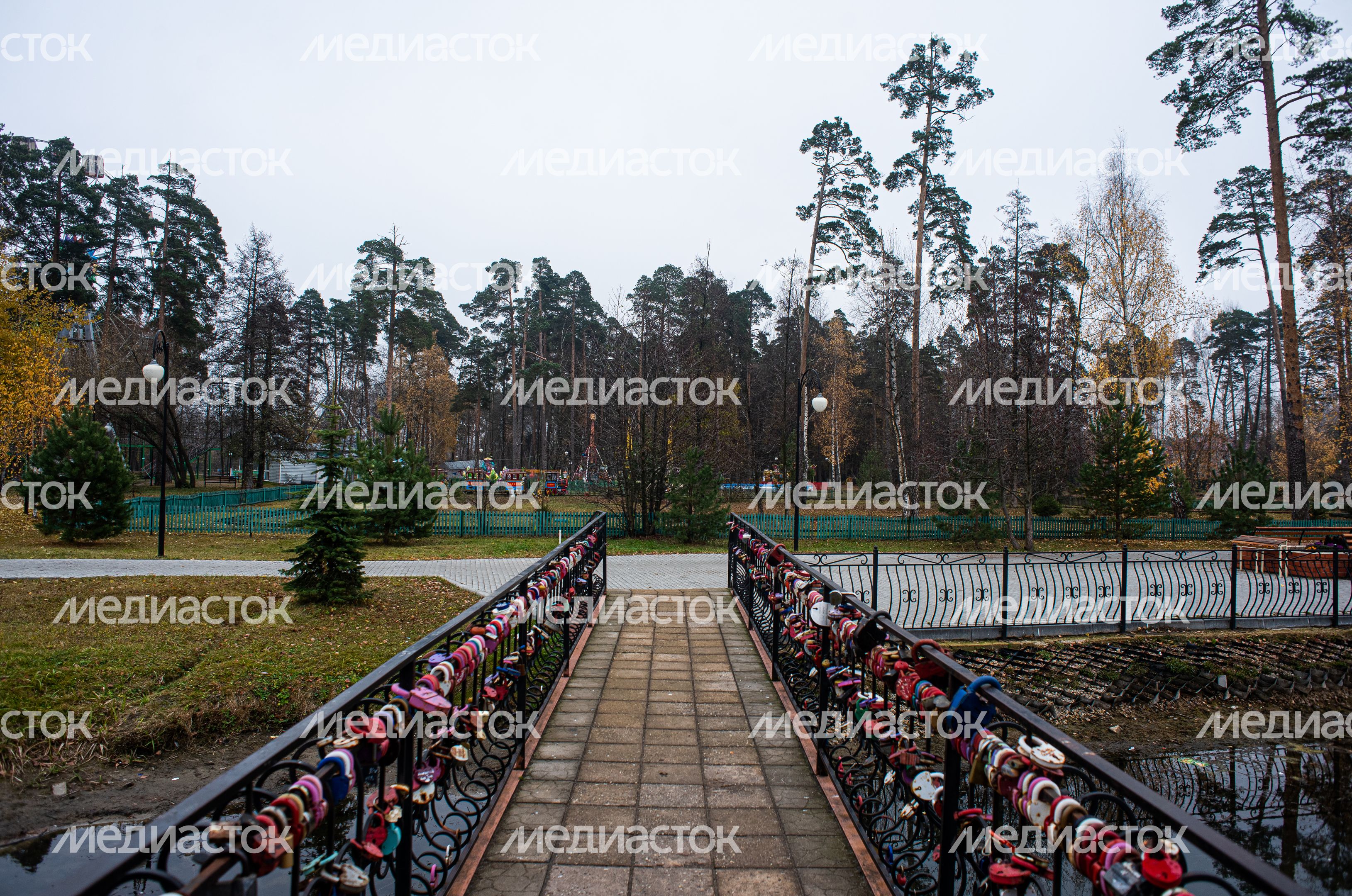 Осенние виды города Шатура