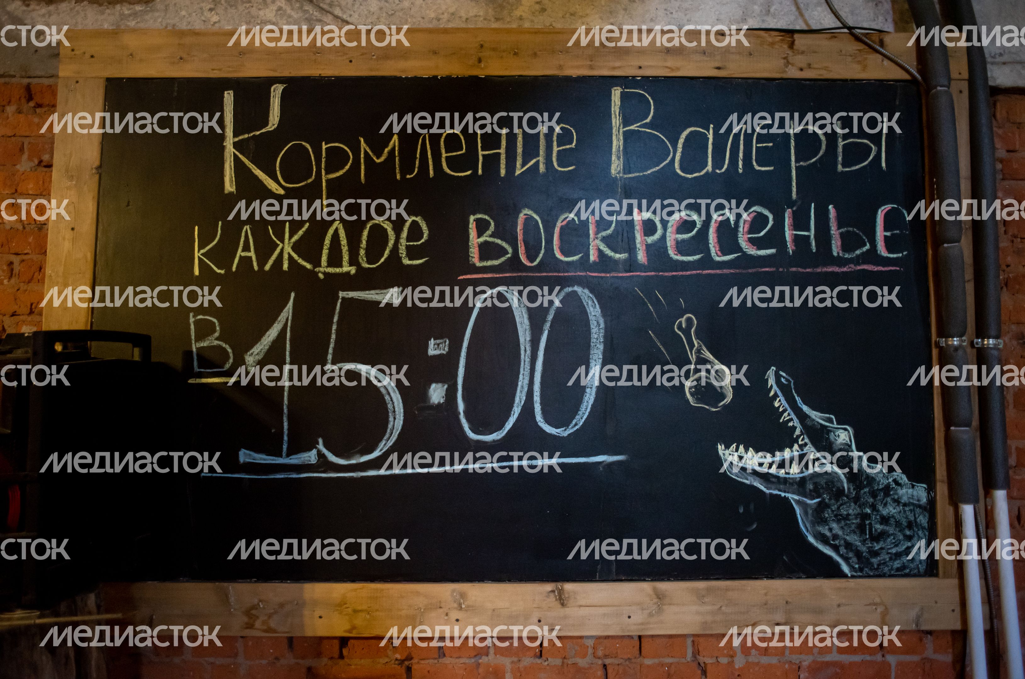 ЭкоДеревушка, Крокодиловая и Улиточная ферма в Коломне