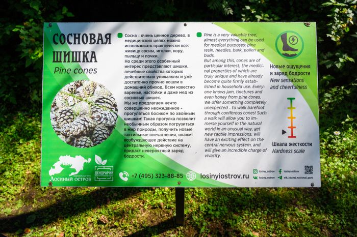 Эколого-просветительский комплекс "Дендрарий" в Мытищах