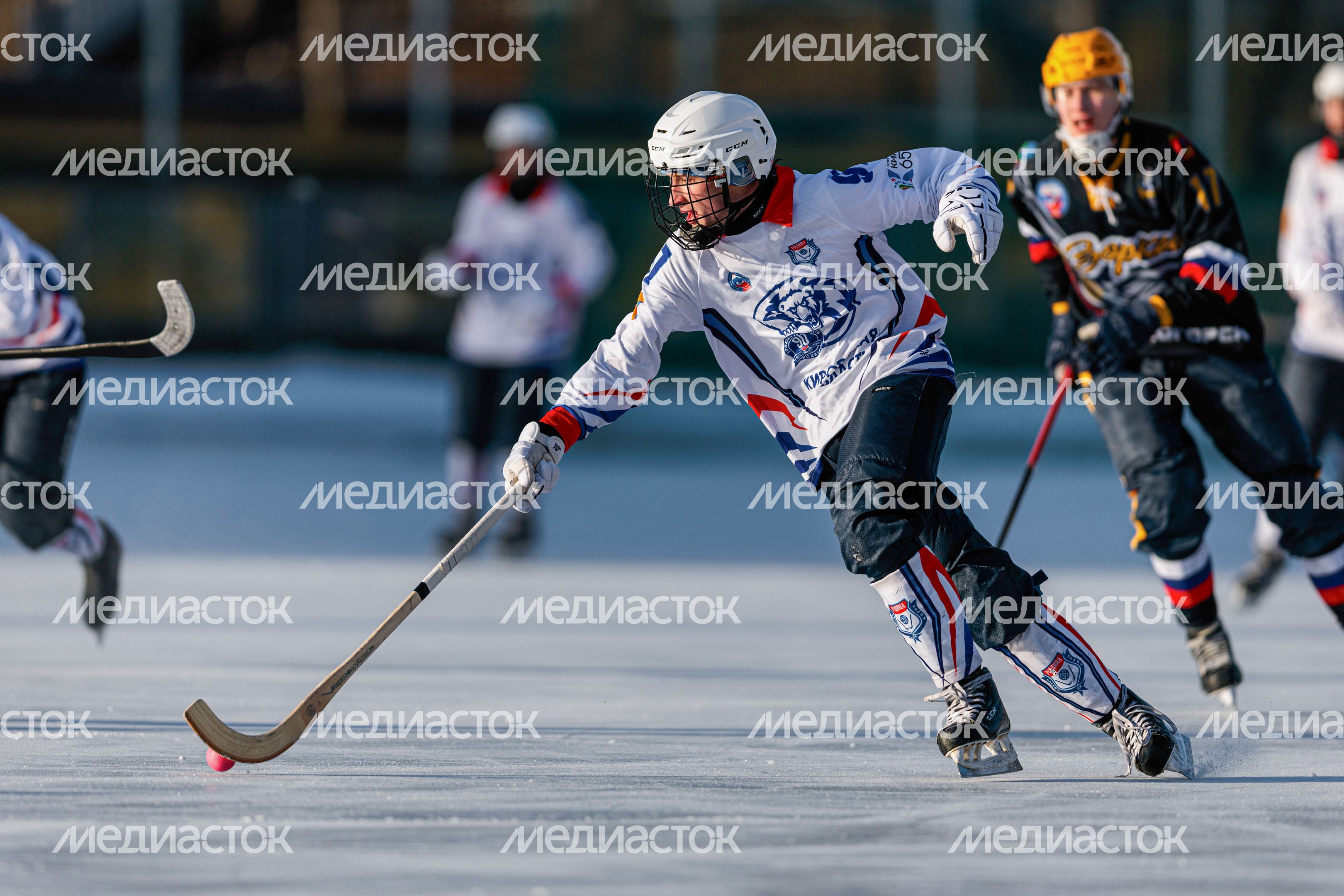 Чемпионат России по хоккею с мячом в Красногорске Чемпионат России по хоккею с мячом в Красногорске