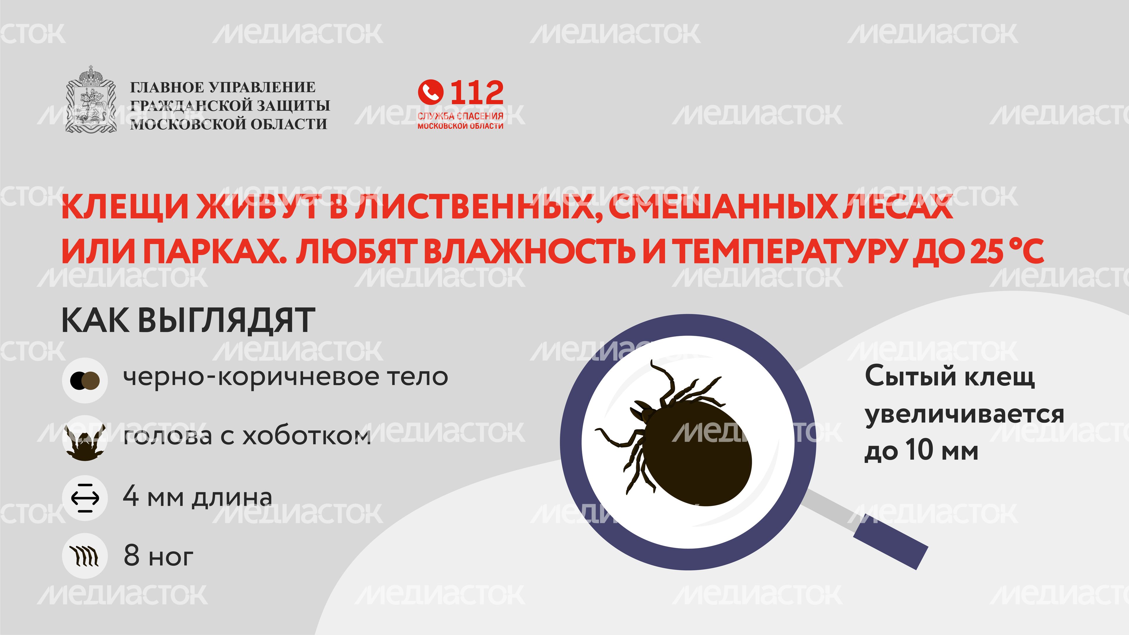 клещи_горизонталь_03