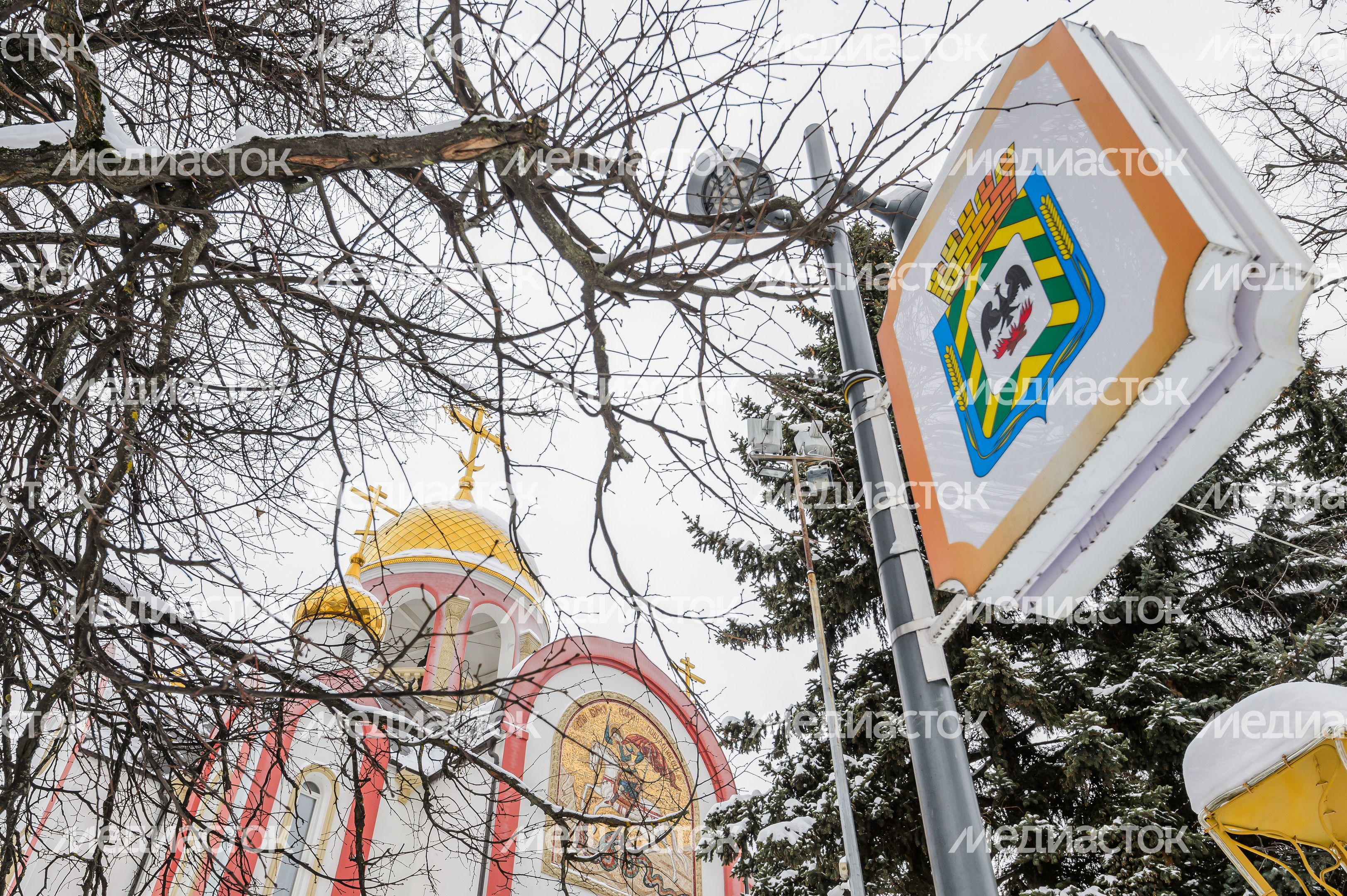 Видное. Зимний Собор Георгия Победоносца Видное. Зимний Собор Георгия Победоносца