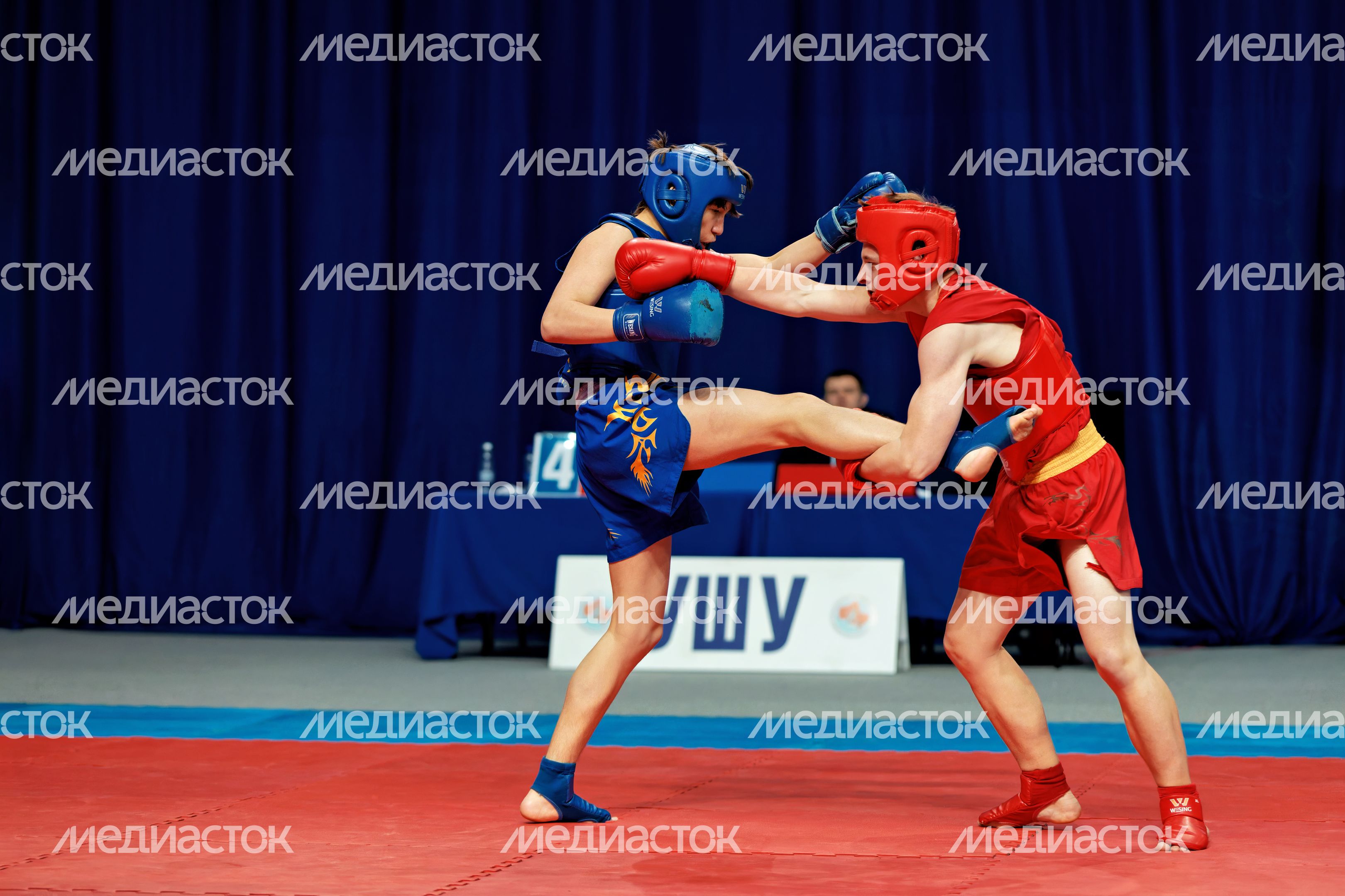Чемпионат и Первенство Центрального федерального округа по ушу-саньда в Люберцах Чемпионат и Первенство Центрального федерального округа по ушу-саньда в Люберцах