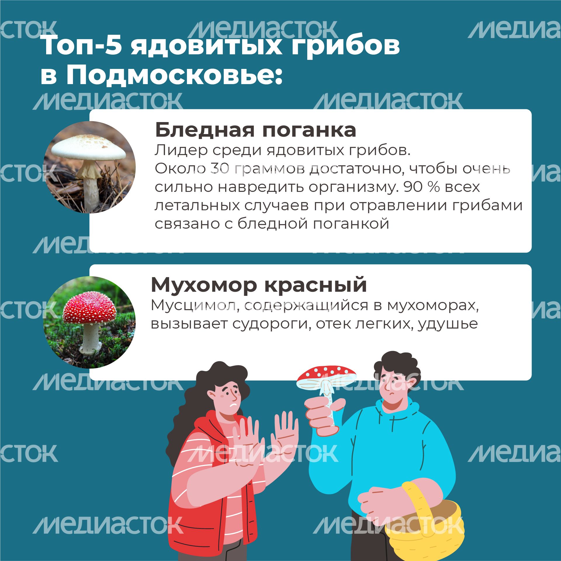04 Квадрат_грибы_04-100
