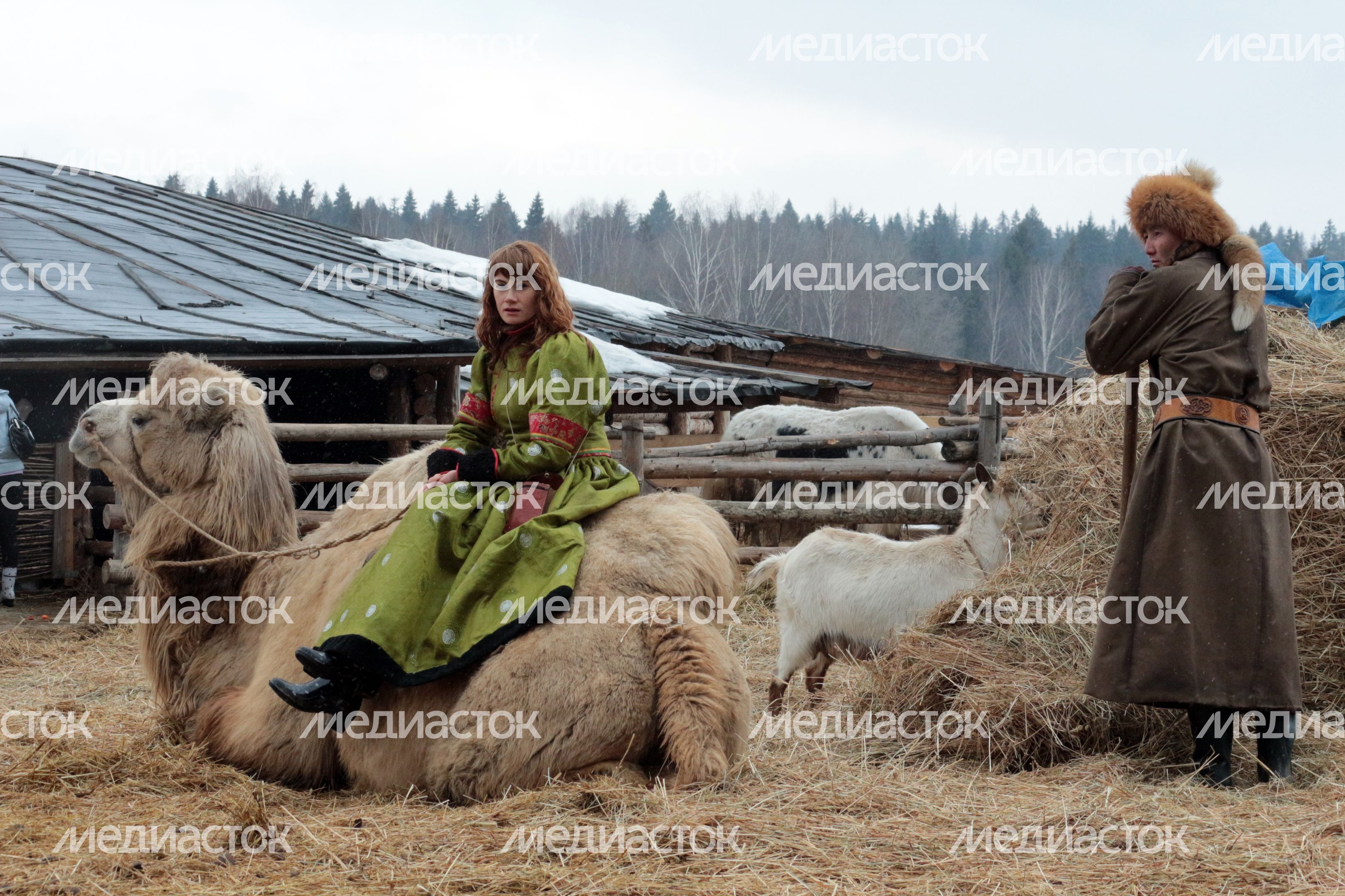 Праздник «Стрелецкая гульба» в Сергиево-Посадском районе Праздник «Стрелецкая гульба» в Сергиево-Посадском районе