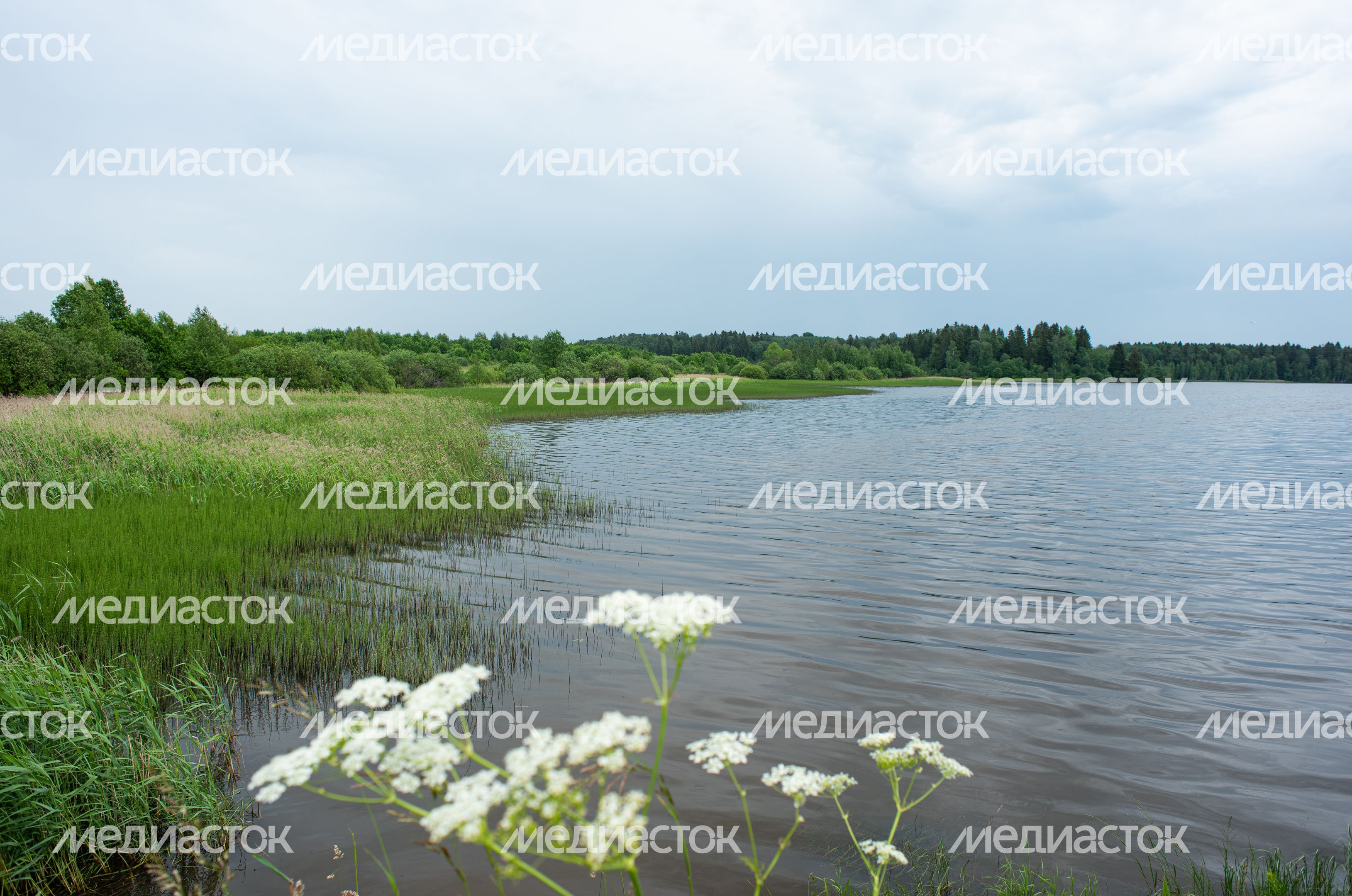 Верхнерузское водохранилище