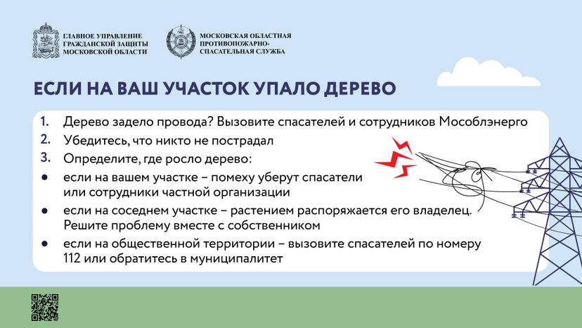 Аварийные деревья_Горизонталь-06.jpg