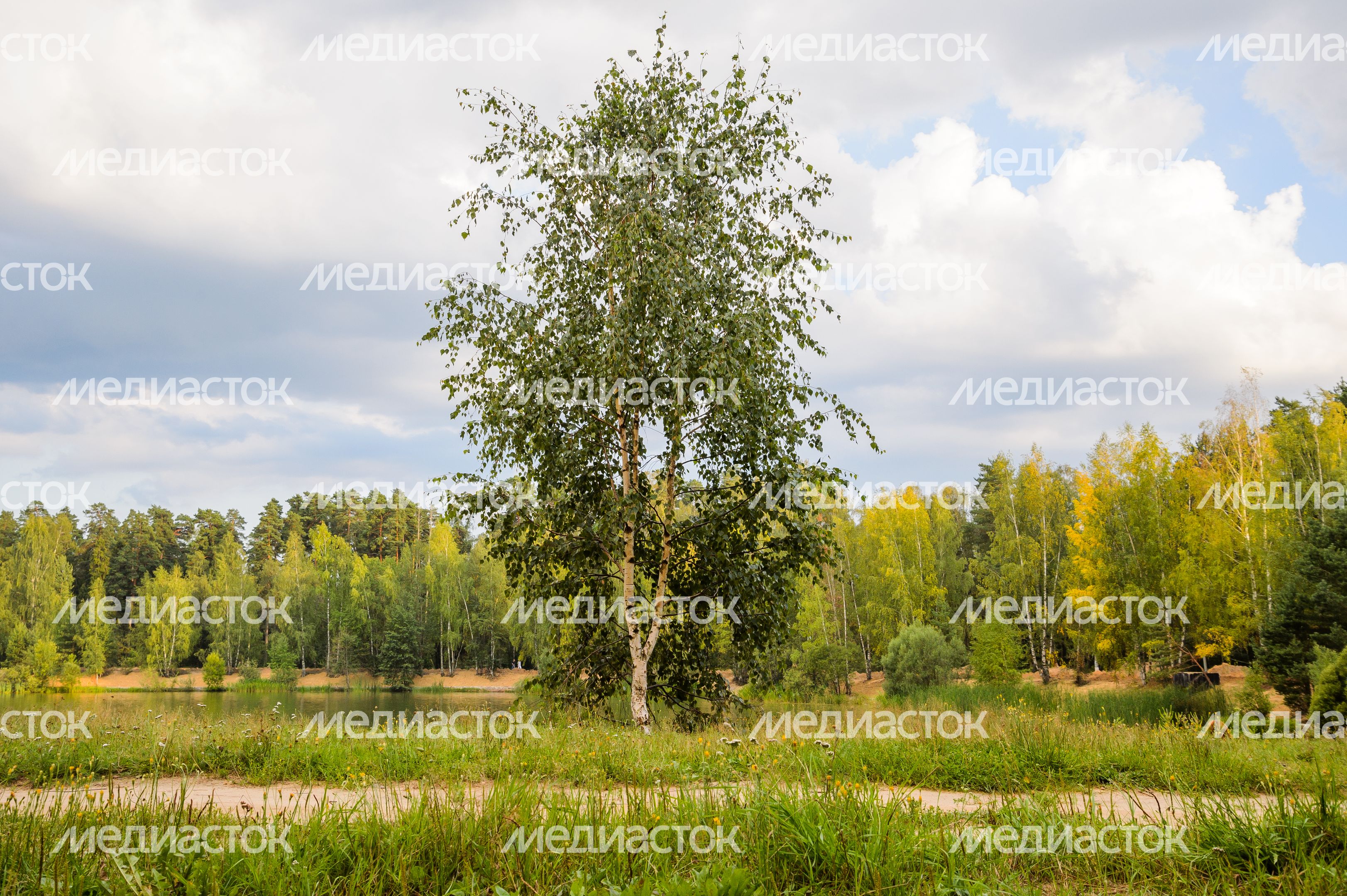 Черноголовка. Озеро Южное