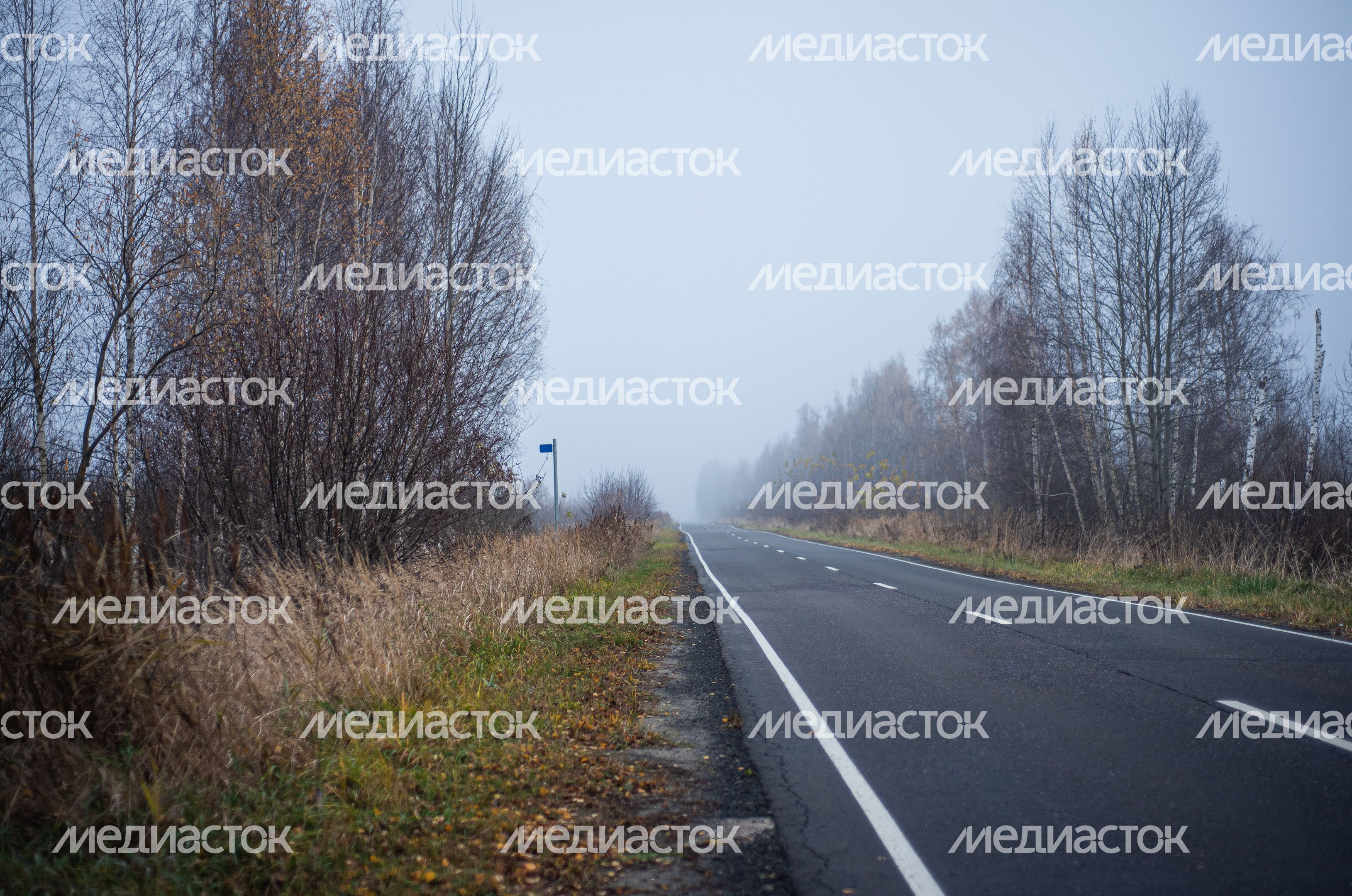 Шатурские болота