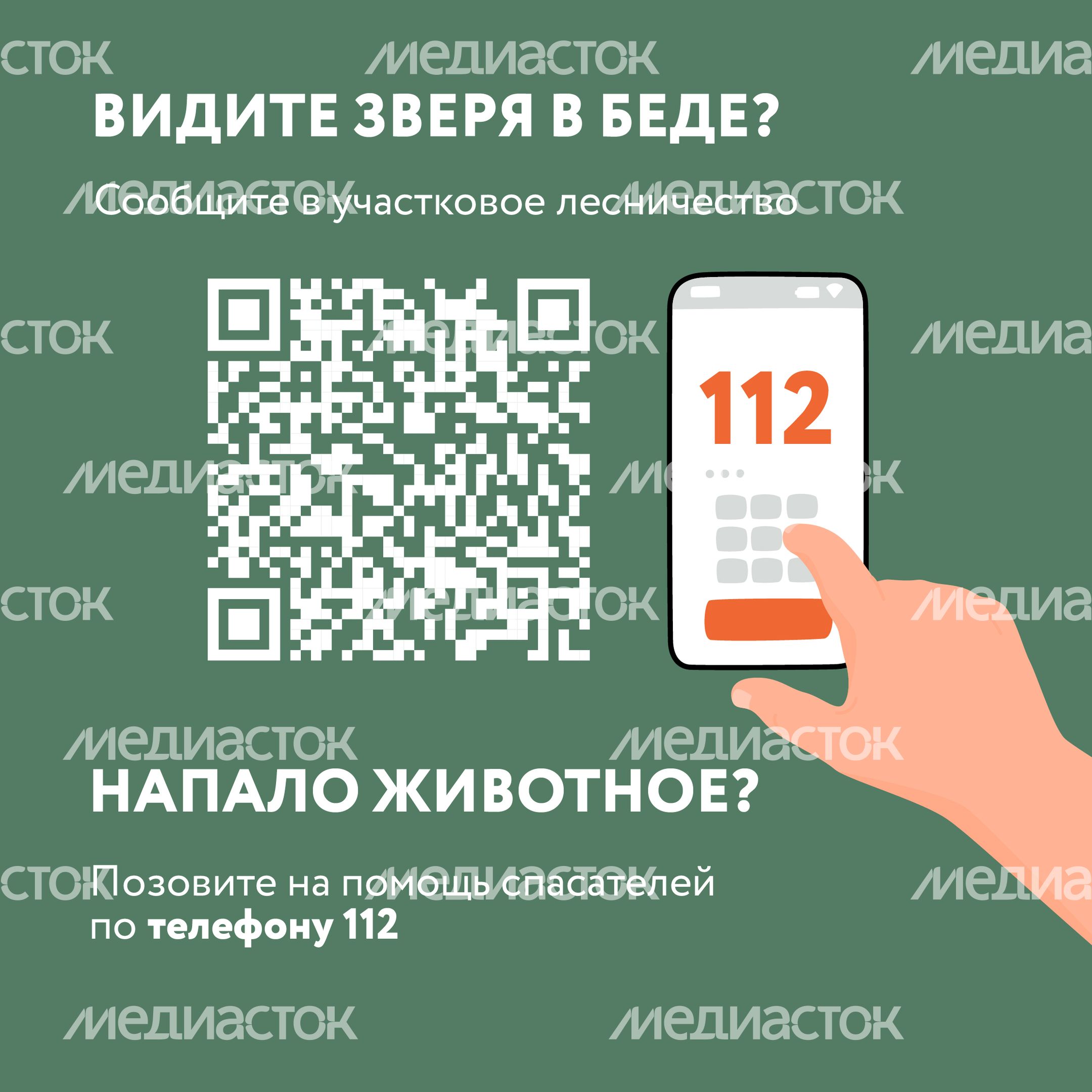 Квадрат Безопасность в лесу 08.jpg