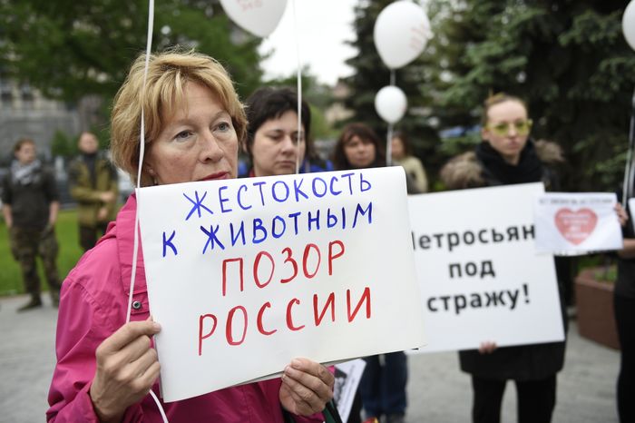 Митинг в защиту животных из приютов в Москве