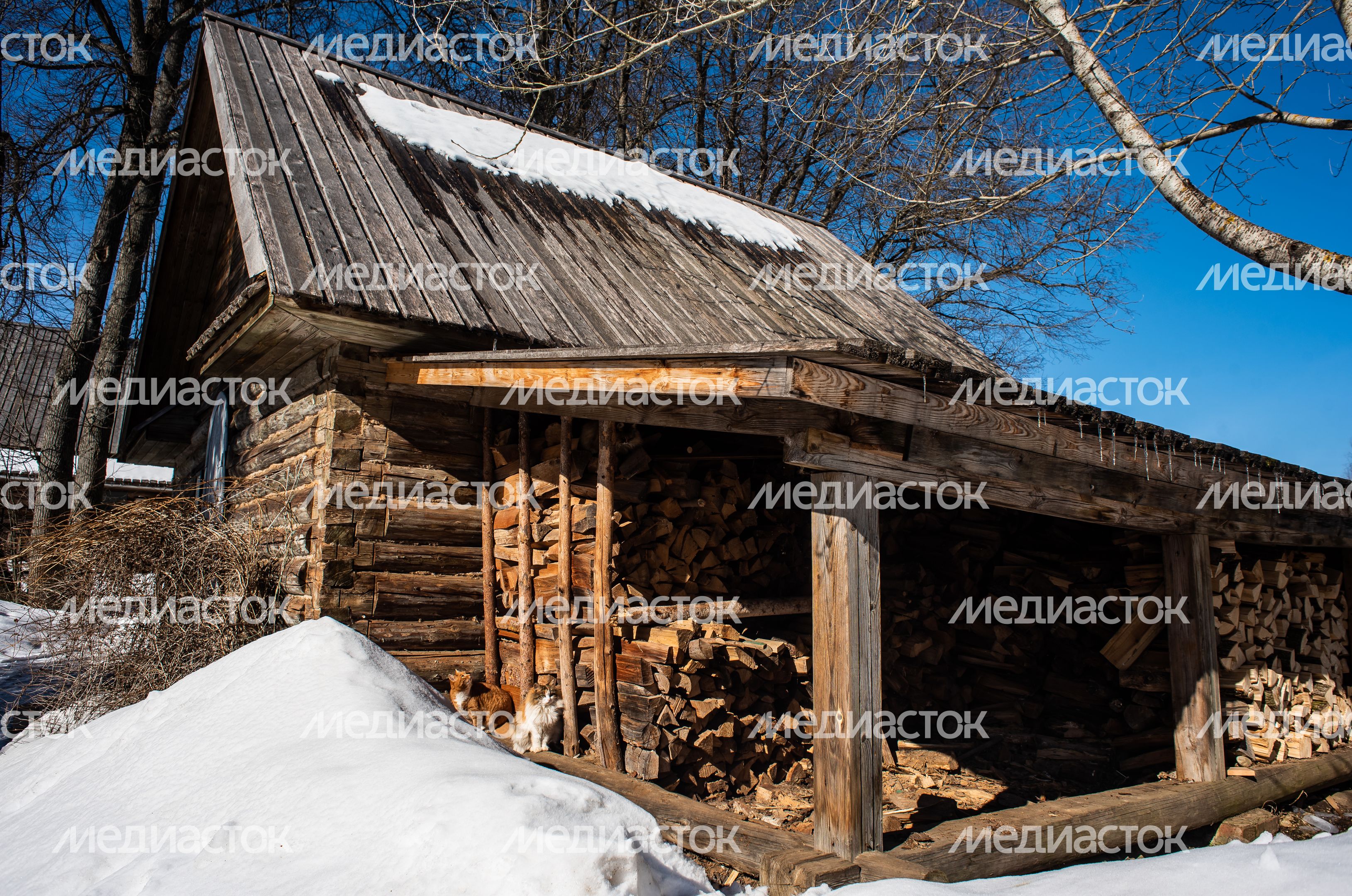 Зимние виды усадьбы Шахматово