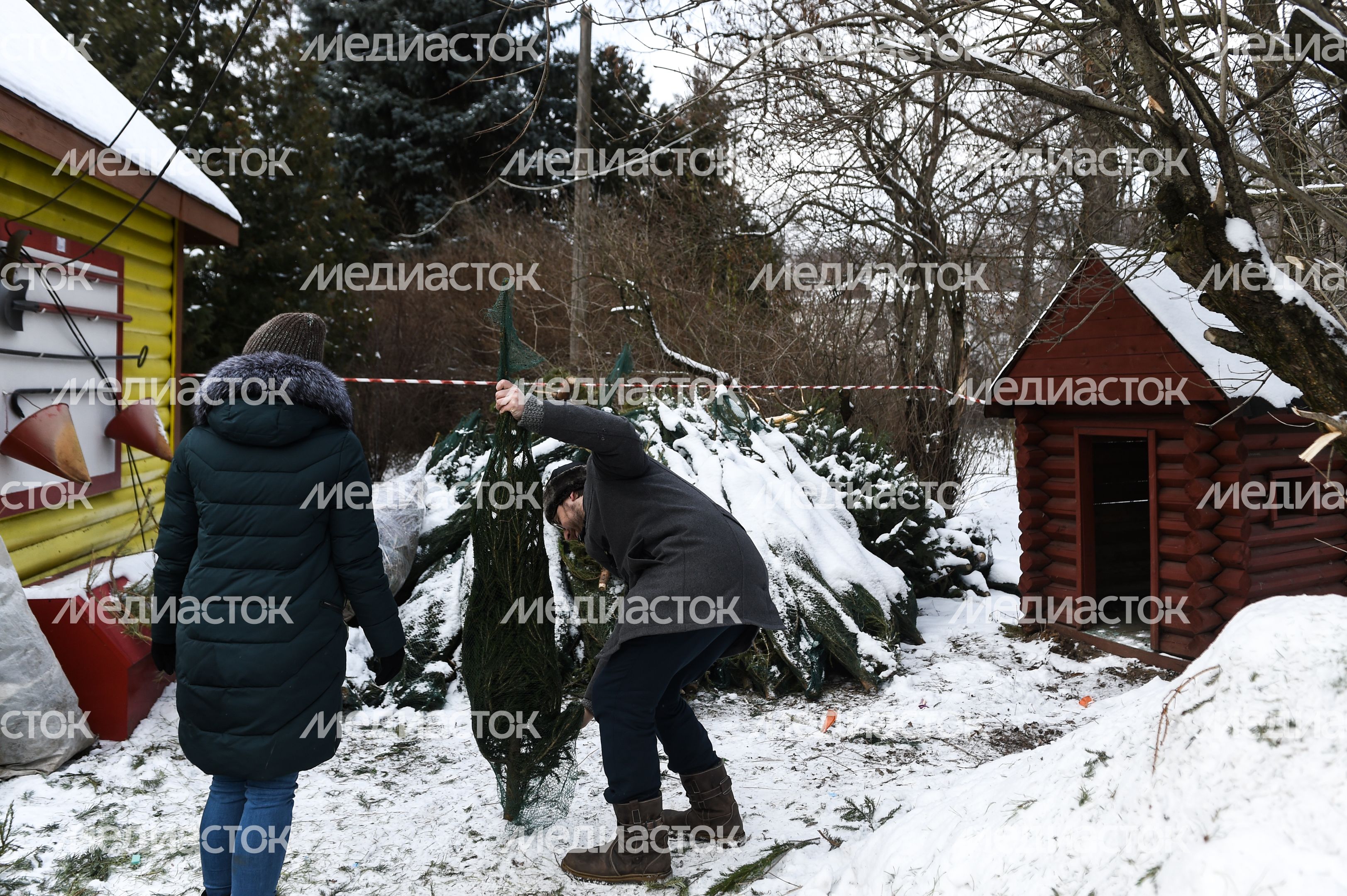 Утилизация елок после Нового года в Москве