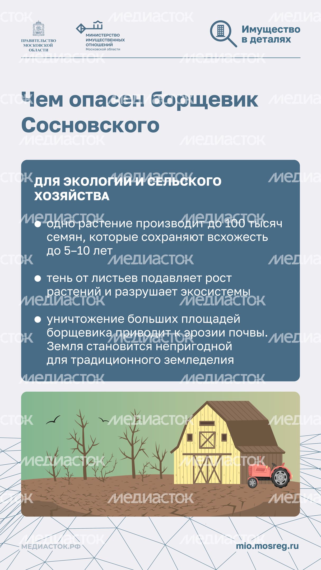 Борьба с борщевиком вертикаль 04