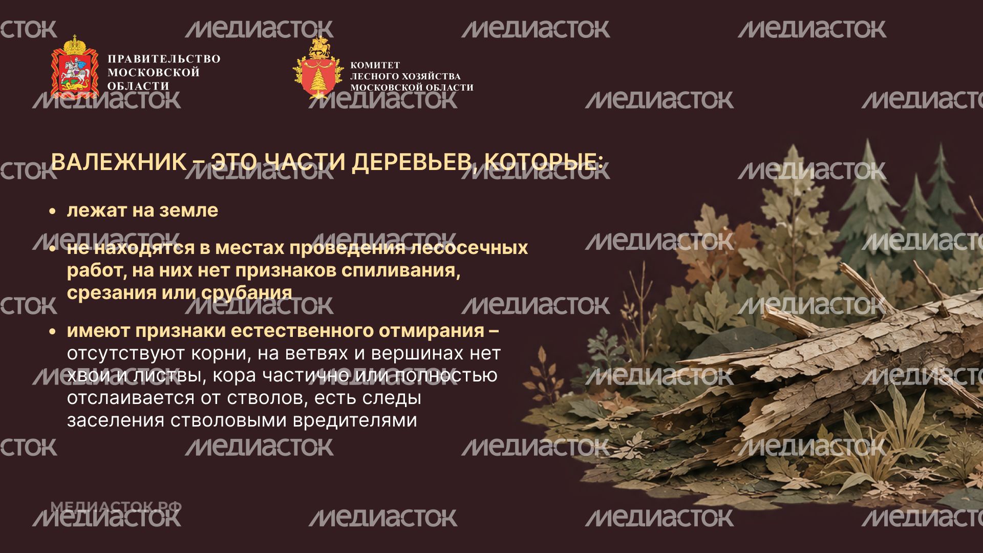 Недревесные ресурсы для собственных нужд Горизонталь 04