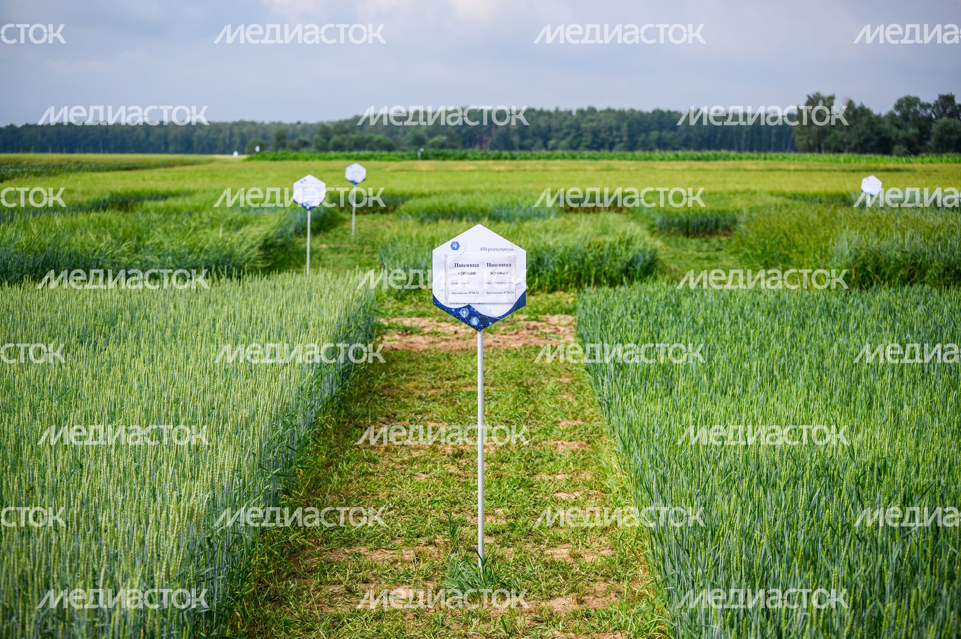 Научно-практический форум "Агрополигон-2024" в Домодедово Научно-практический форум "Агрополигон-2024" в Домодедово