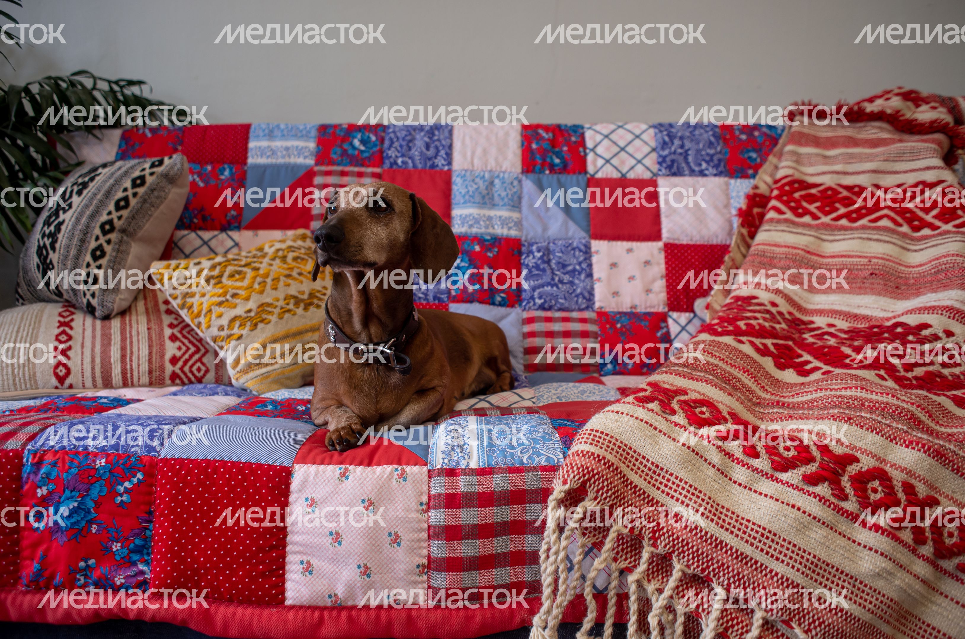 Творческая мастерская Ильи и Натальи Рожковых